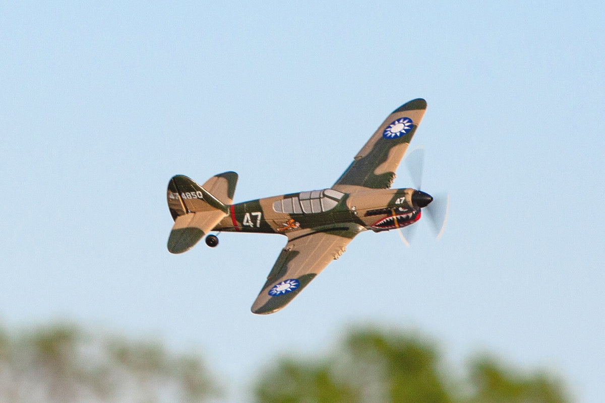 Curtiss P-40 Warhawk Micro RTF Airplane w/ PASS System